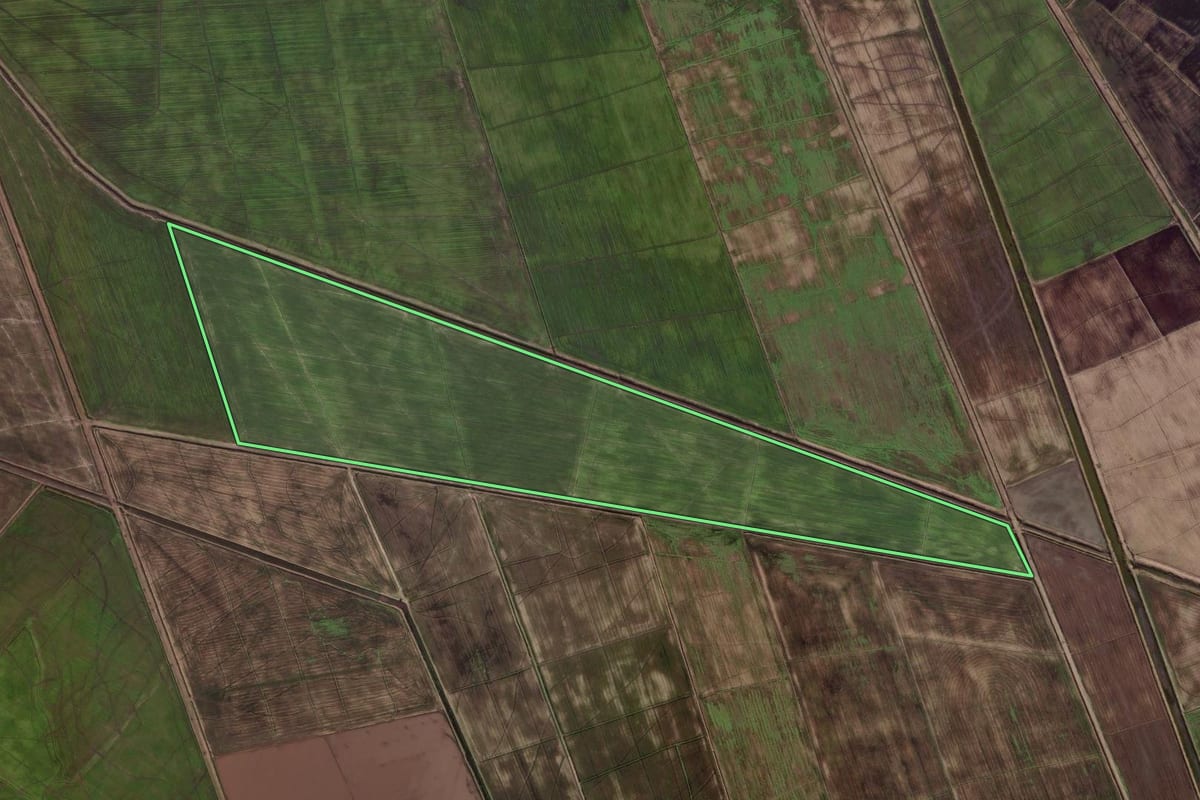 Imagem de satélite do imóvel rural em Palmares do Sul (RS), com o contorno declarado no CAR desenhado por cima.