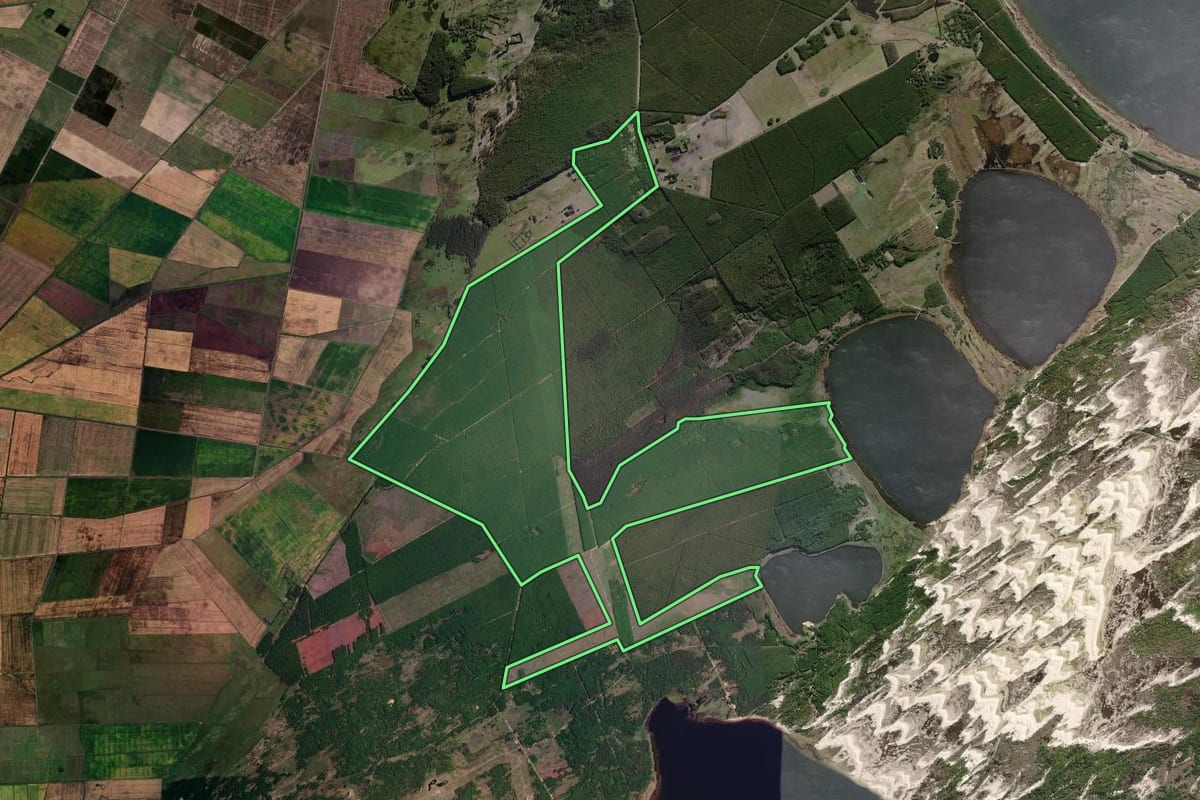 Imagem de satélite do imóvel rural em Palmares do Sul (RS), com o contorno declarado no CAR desenhado por cima.