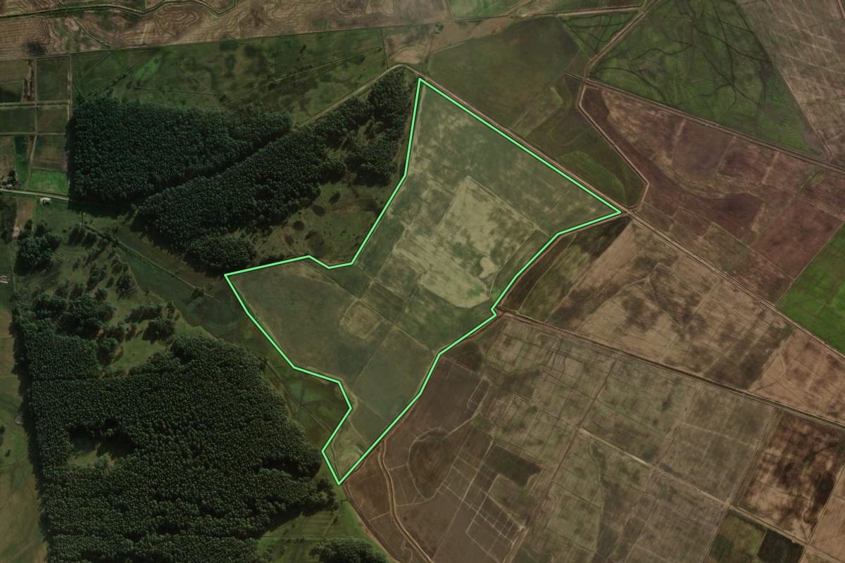 Imagem de satélite do imóvel rural em Palmares do Sul (RS), com o contorno declarado no CAR desenhado por cima.