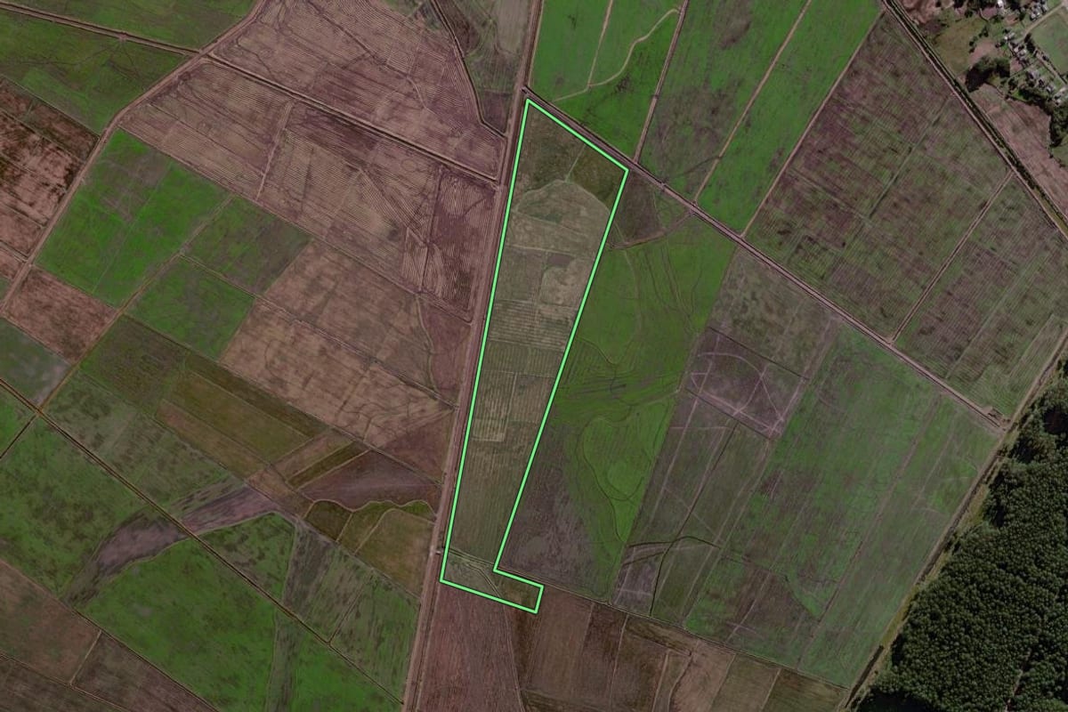 Imagem de satélite do imóvel rural em Palmares do Sul (RS), com o contorno declarado no CAR desenhado por cima.
