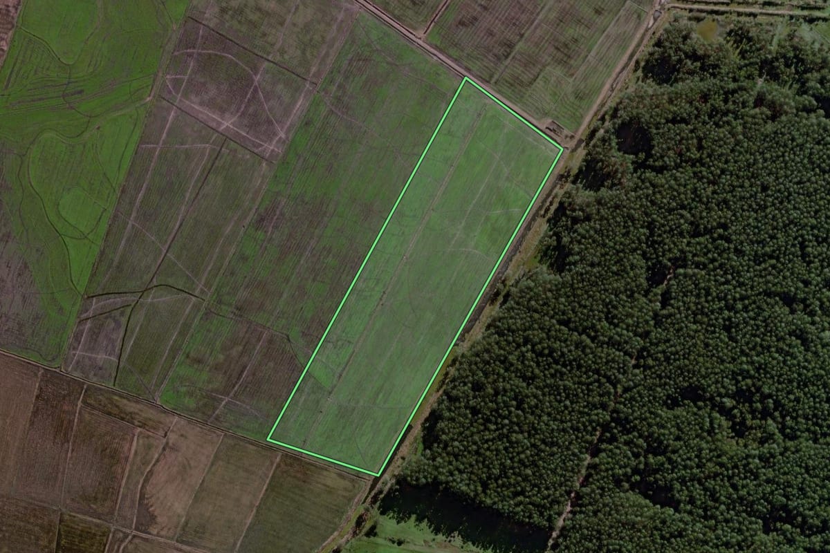 Imagem de satélite do imóvel rural em Palmares do Sul (RS), com o contorno declarado no CAR desenhado por cima.