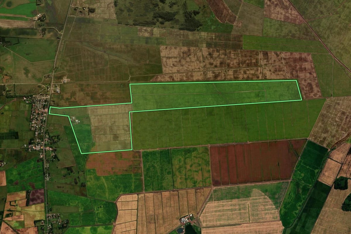 Imagem de satélite do imóvel rural em Palmares do Sul (RS), com o contorno declarado no CAR desenhado por cima.