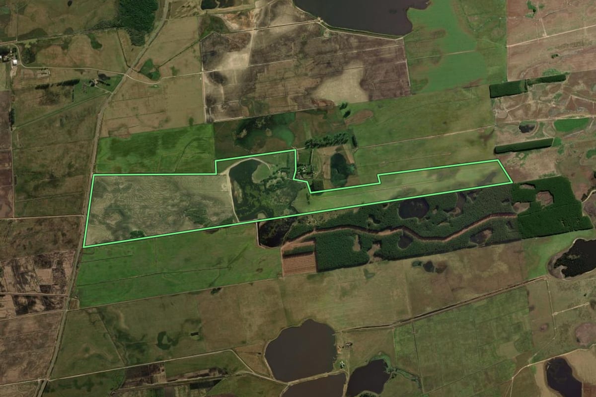 Imagem de satélite do imóvel rural em Palmares do Sul (RS), com o contorno declarado no CAR desenhado por cima.