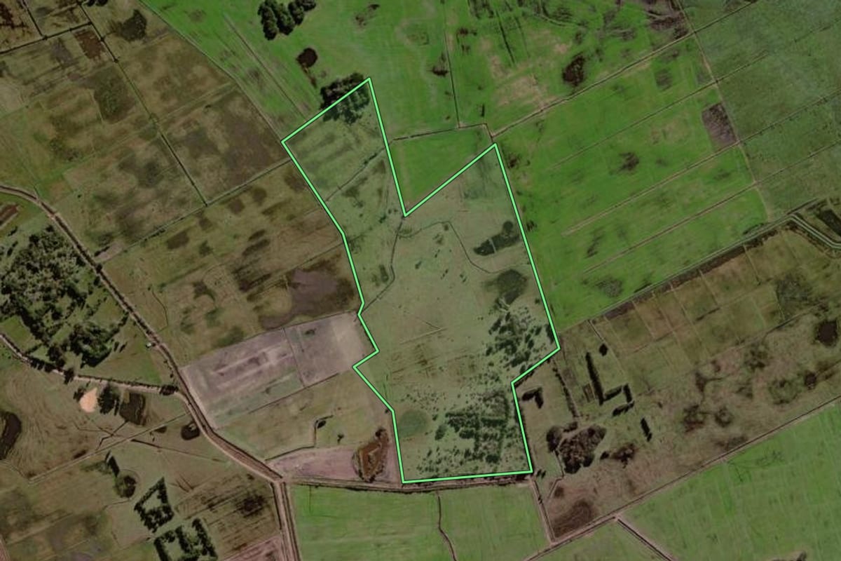 Imagem de satélite do imóvel rural em Palmares do Sul (RS), com o contorno declarado no CAR desenhado por cima.