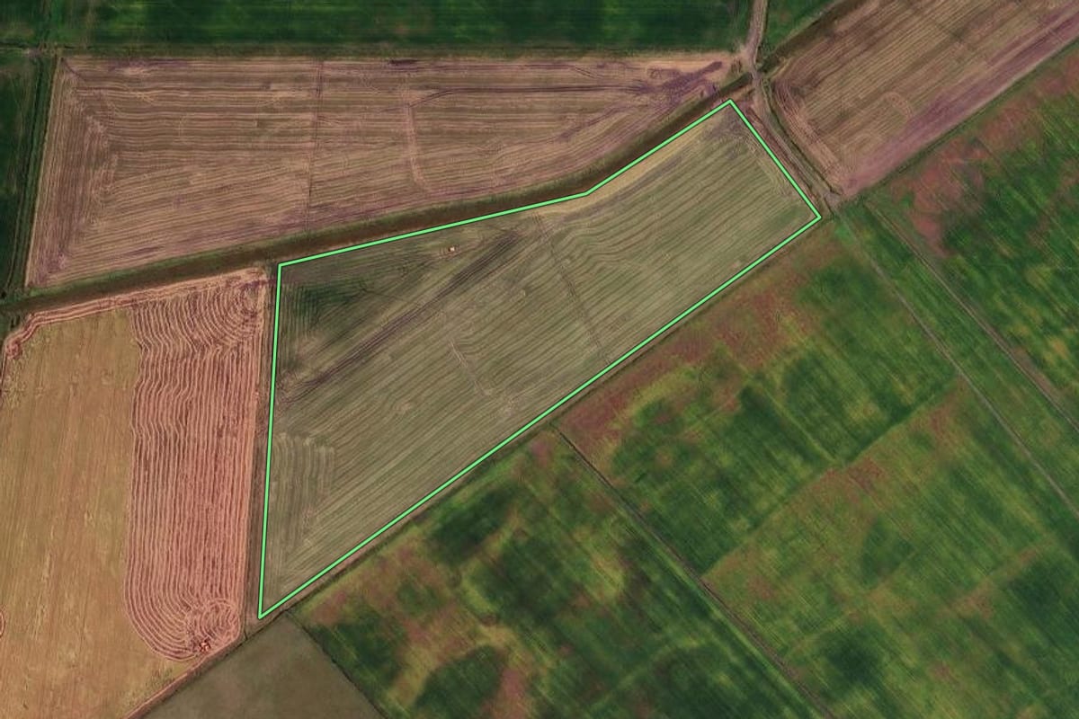 Imagem de satélite do imóvel rural em Palmares do Sul (RS), com o contorno declarado no CAR desenhado por cima.