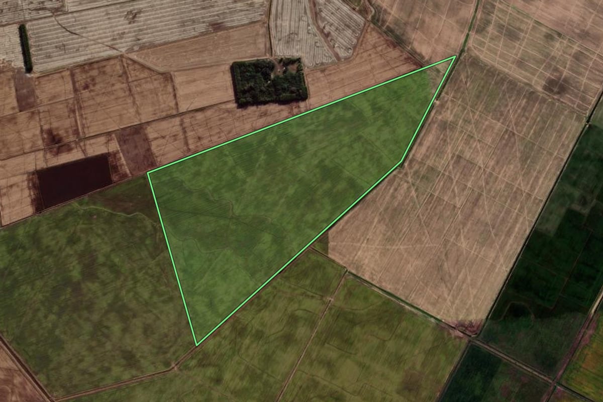 Imagem de satélite do imóvel rural em Palmares do Sul (RS), com o contorno declarado no CAR desenhado por cima.