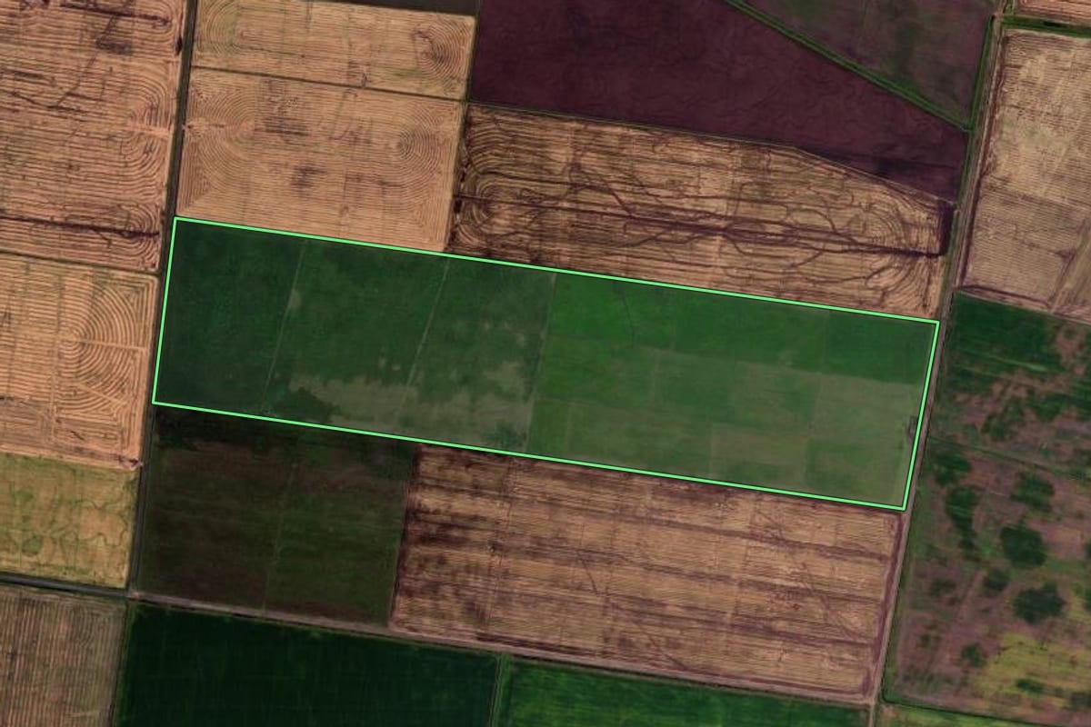 Imagem de satélite do imóvel rural em Palmares do Sul (RS), com o contorno declarado no CAR desenhado por cima.