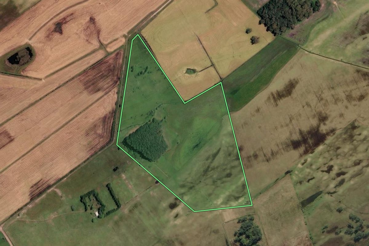 Imagem de satélite do imóvel rural em Palmares do Sul (RS), com o contorno declarado no CAR desenhado por cima.