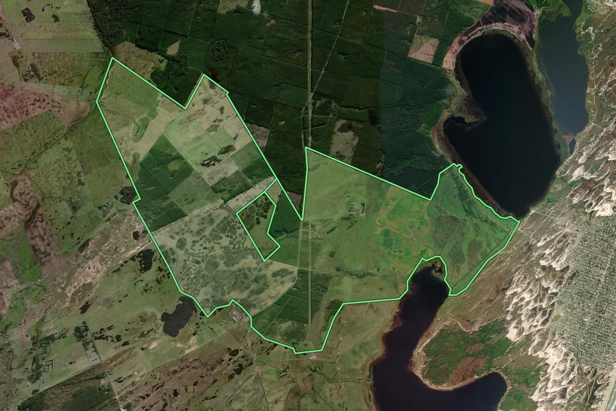 Imagem de satélite do imóvel rural em Palmares do Sul (RS), com o contorno declarado no CAR desenhado por cima.