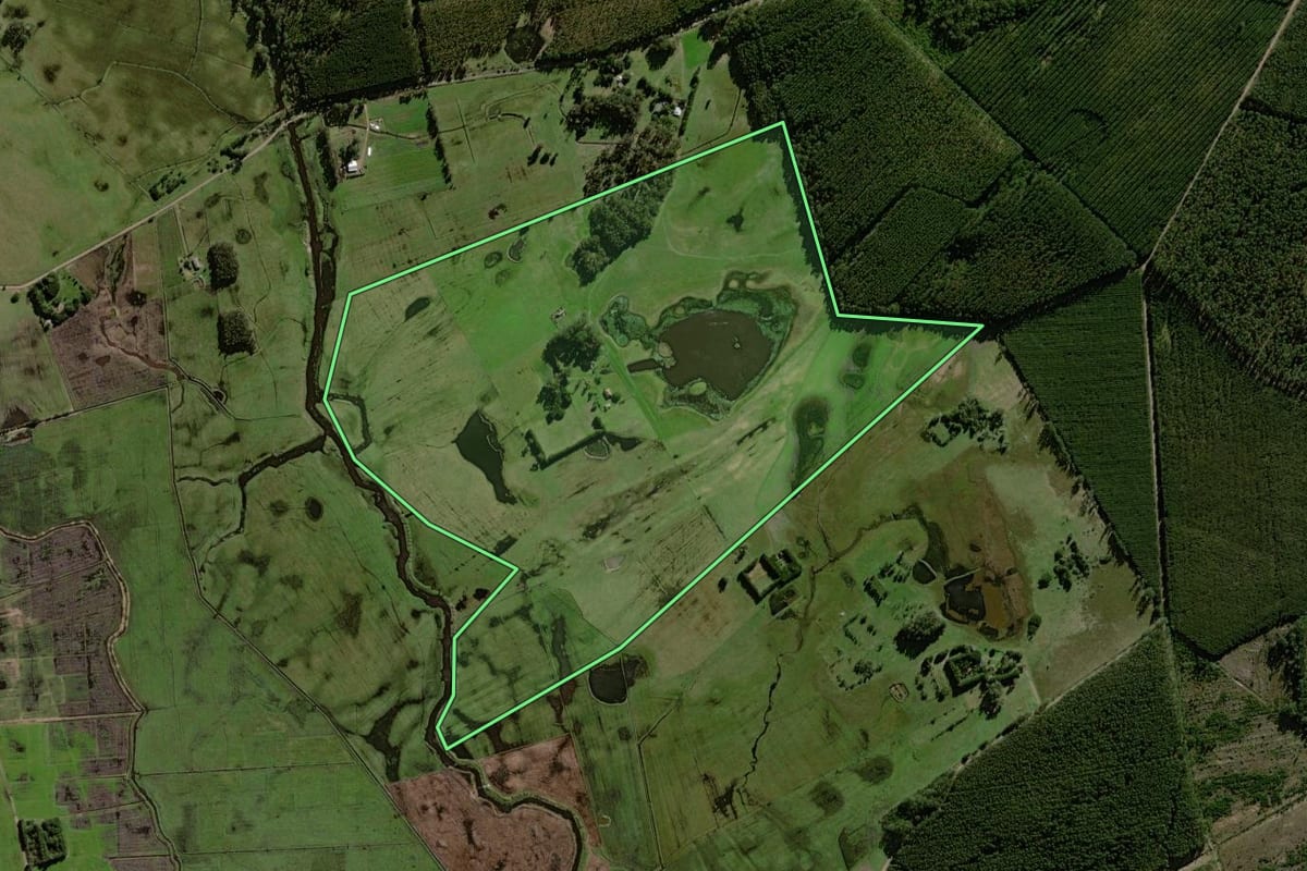 Imagem de satélite do imóvel rural em Palmares do Sul (RS), com o contorno declarado no CAR desenhado por cima.