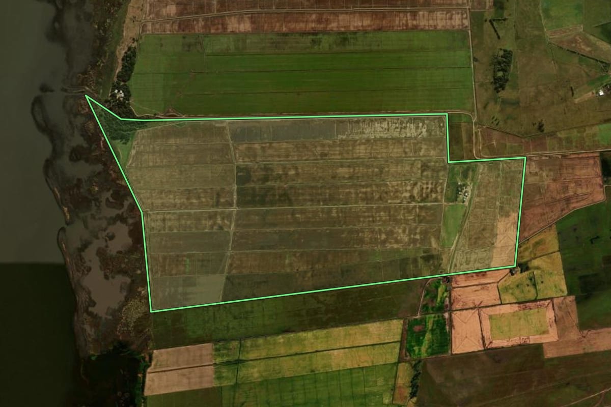Imagem de satélite do imóvel rural em Palmares do Sul (RS), com o contorno declarado no CAR desenhado por cima.