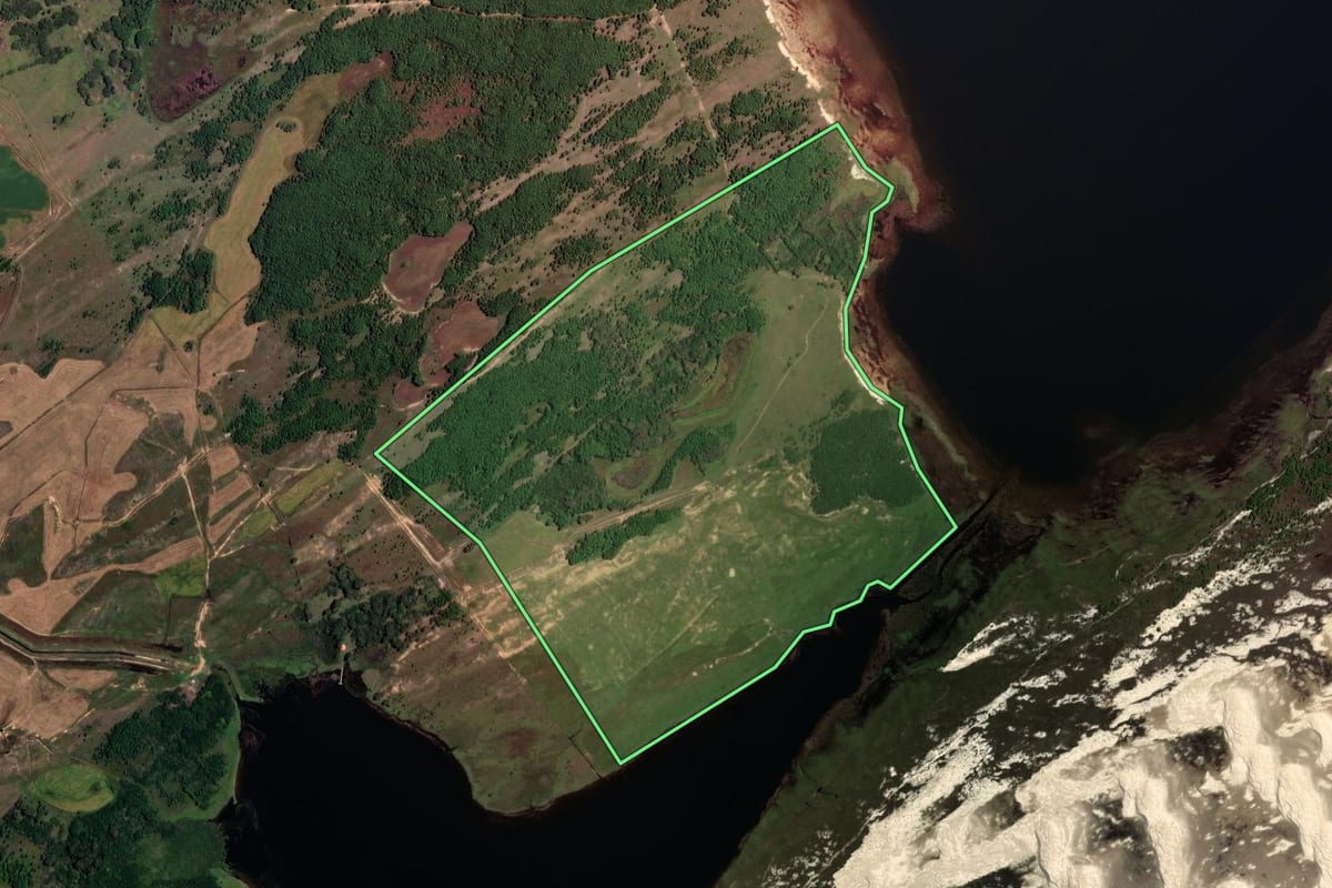 Imagem de satélite do imóvel rural em Palmares do Sul (RS), com o contorno declarado no CAR desenhado por cima.