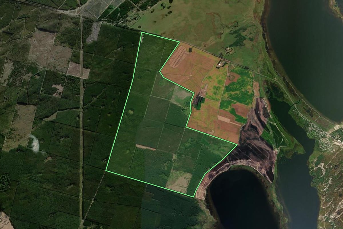 Imagem de satélite do imóvel rural em Palmares do Sul (RS), com o contorno declarado no CAR desenhado por cima.