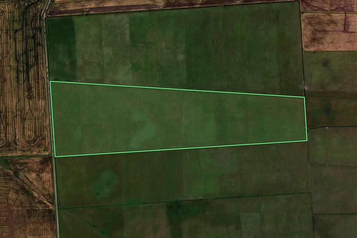 Imagem de satélite do imóvel rural em Palmares do Sul (RS), com o contorno declarado no CAR desenhado por cima.