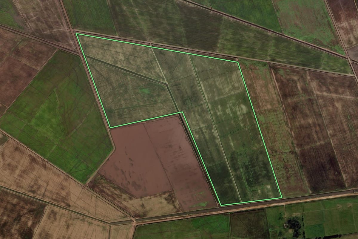 Imagem de satélite do imóvel rural em Palmares do Sul (RS), com o contorno declarado no CAR desenhado por cima.
