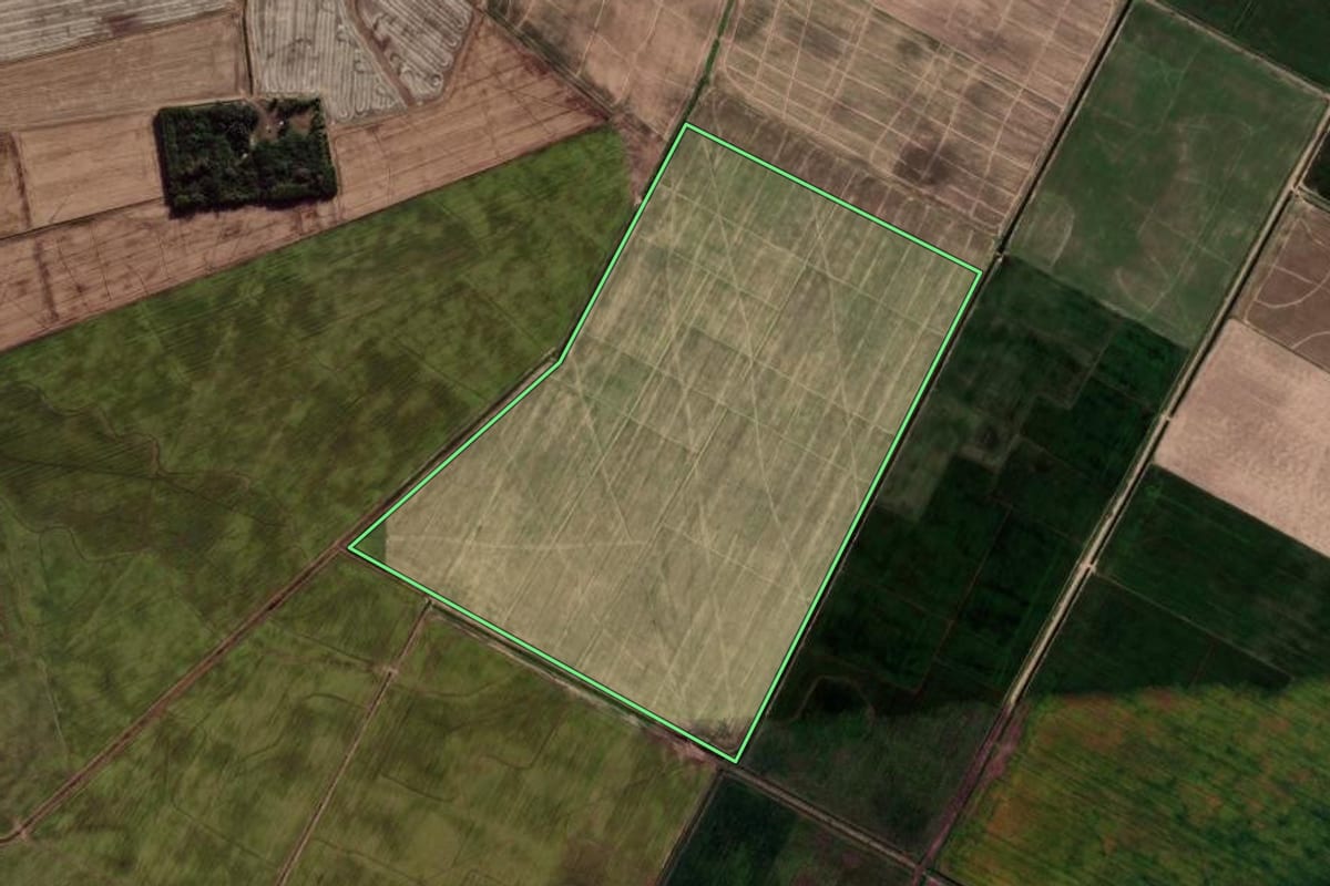 Imagem de satélite do imóvel rural em Palmares do Sul (RS), com o contorno declarado no CAR desenhado por cima.