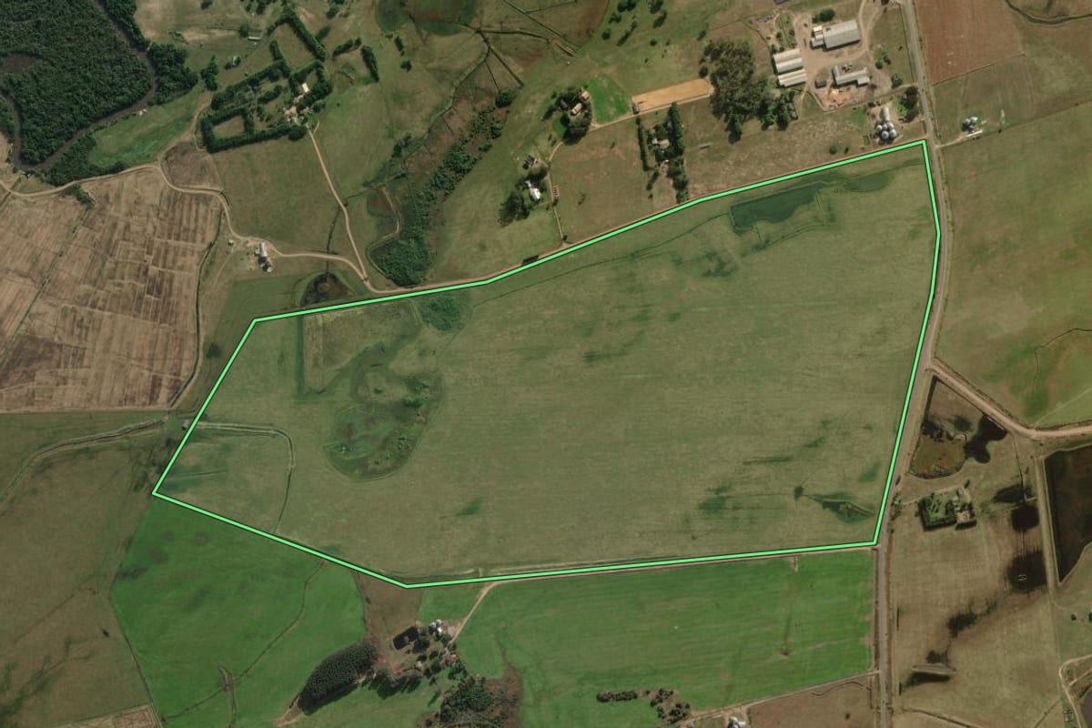 Imagem de satélite do imóvel rural em Palmares do Sul (RS), com o contorno declarado no CAR desenhado por cima.