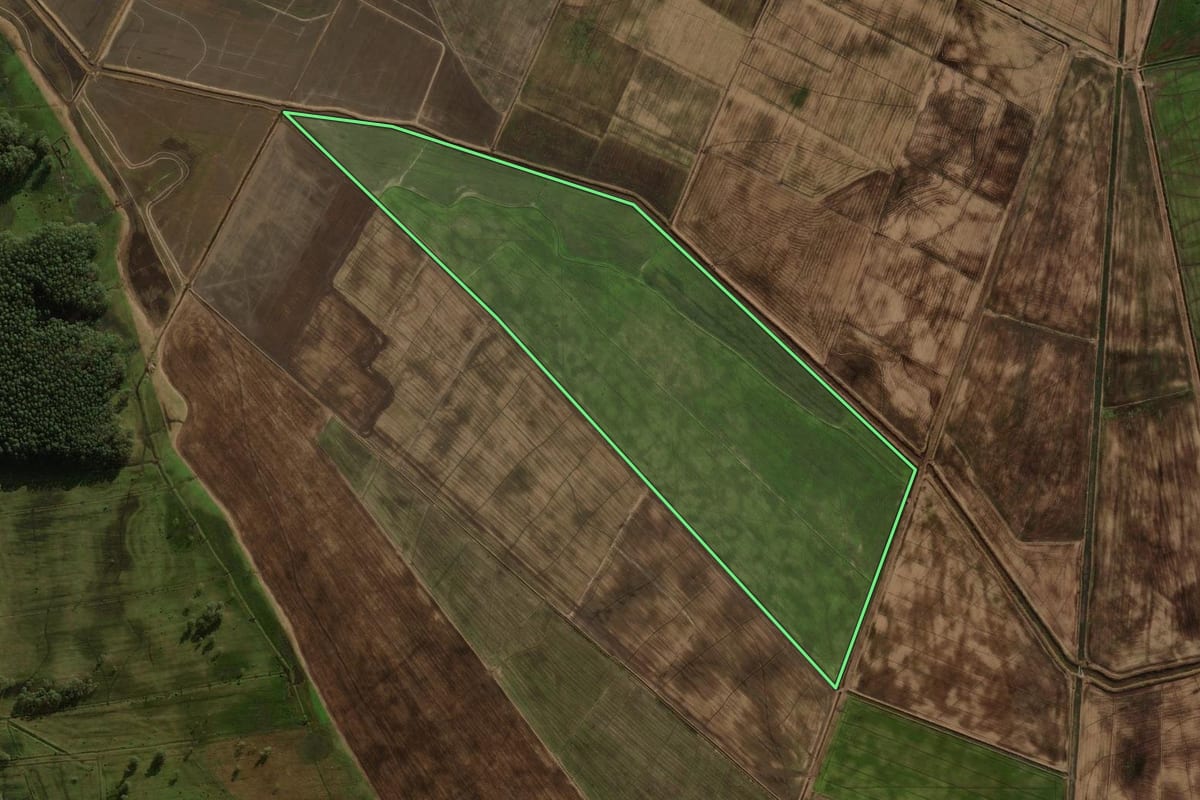 Imagem de satélite do imóvel rural em Palmares do Sul (RS), com o contorno declarado no CAR desenhado por cima.