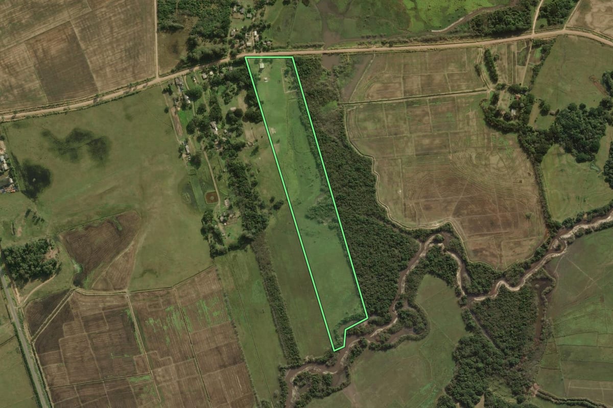 Imagem de satélite do imóvel rural em Palmares do Sul (RS), com o contorno declarado no CAR desenhado por cima.