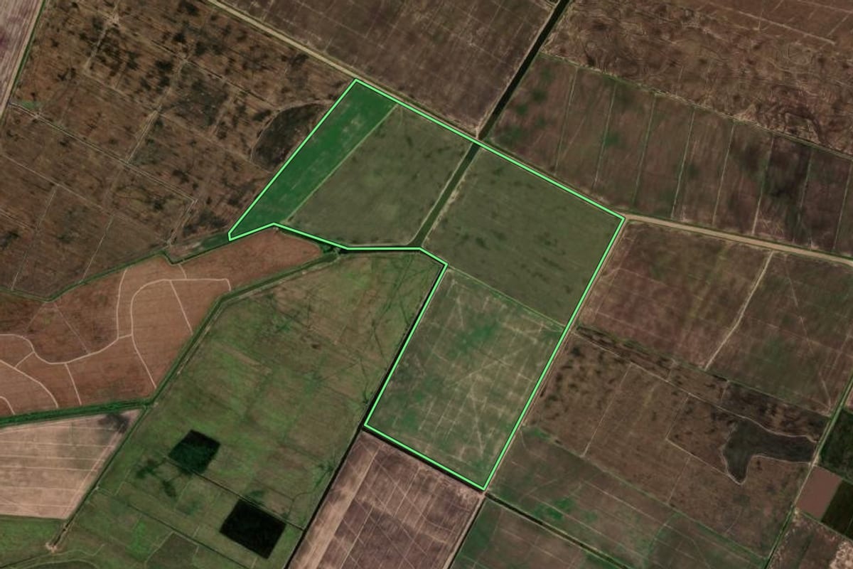 Imagem de satélite do imóvel rural em Palmares do Sul (RS), com o contorno declarado no CAR desenhado por cima.