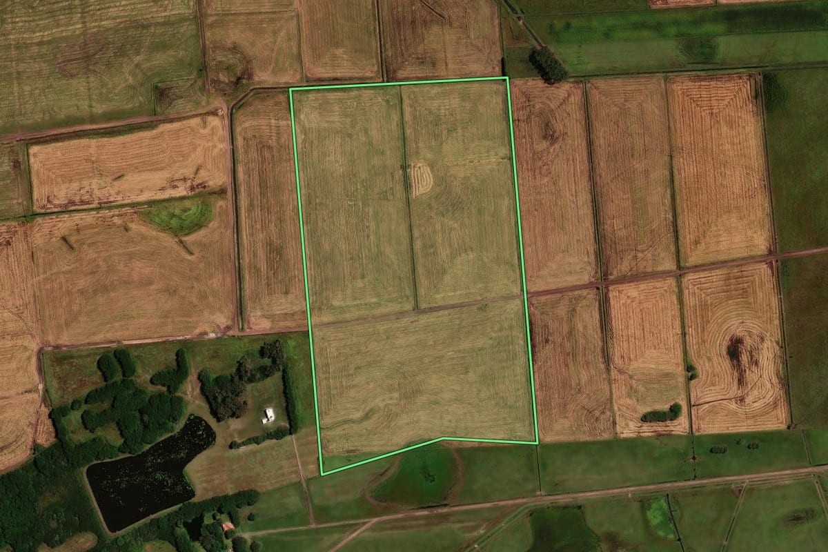 Imagem de satélite do imóvel rural em Palmares do Sul (RS), com o contorno declarado no CAR desenhado por cima.