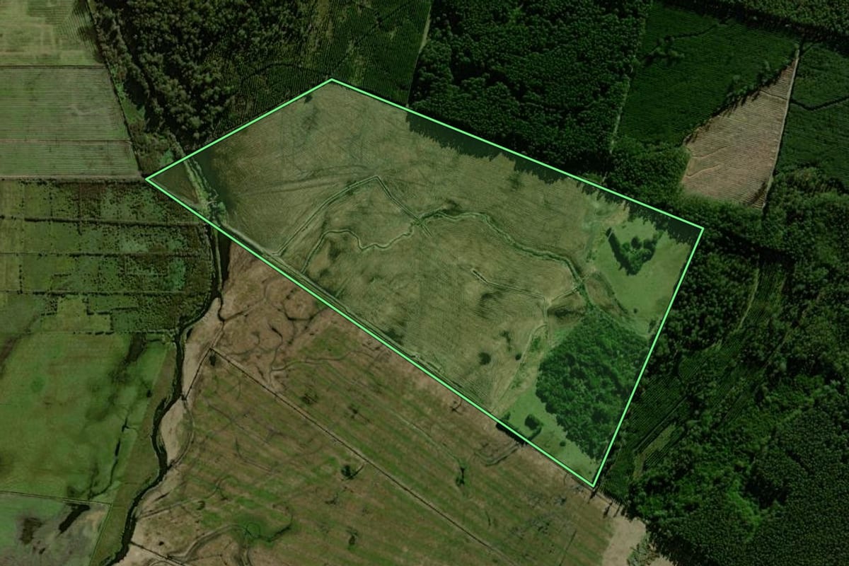 Imagem de satélite do imóvel rural em Palmares do Sul (RS), com o contorno declarado no CAR desenhado por cima.