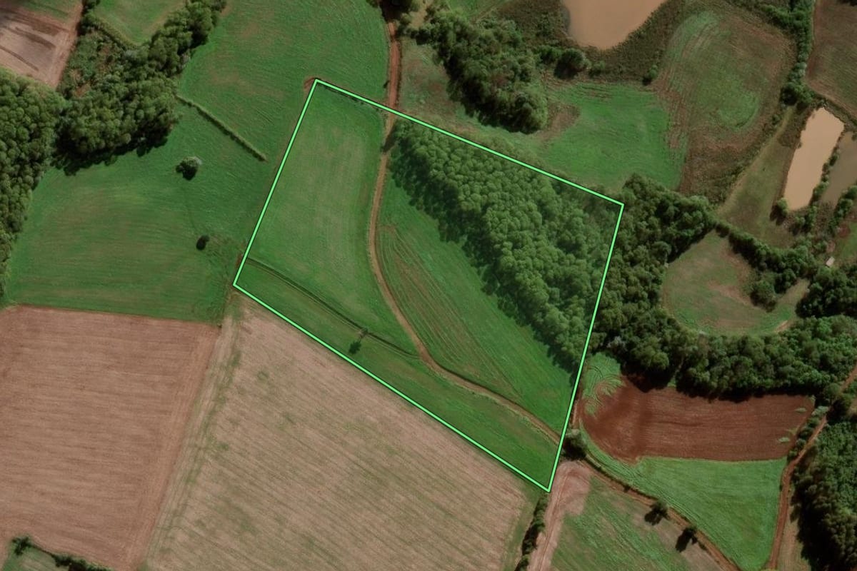 Imagem de satélite do imóvel rural em Palmeira das Missões (RS), com o contorno declarado no CAR desenhado por cima.