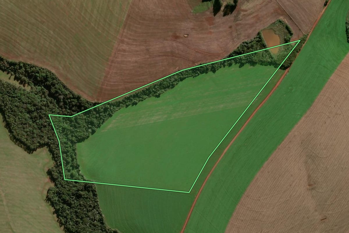 Imagem de satélite do imóvel rural em Palmeira das Missões (RS), com o contorno declarado no CAR desenhado por cima.