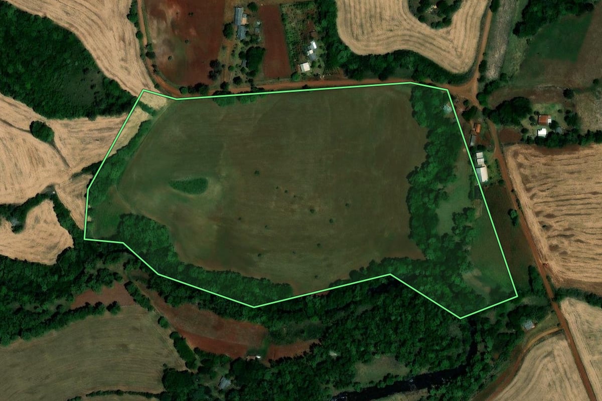 Imagem de satélite do imóvel rural em Palmeira das Missões (RS), com o contorno declarado no CAR desenhado por cima.