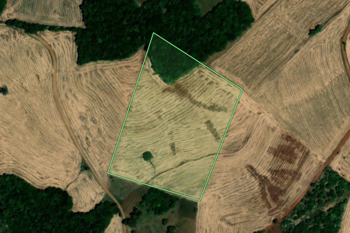 Imagem de satélite do imóvel rural em Palmeira das Missões (RS), com o contorno declarado no CAR desenhado por cima.