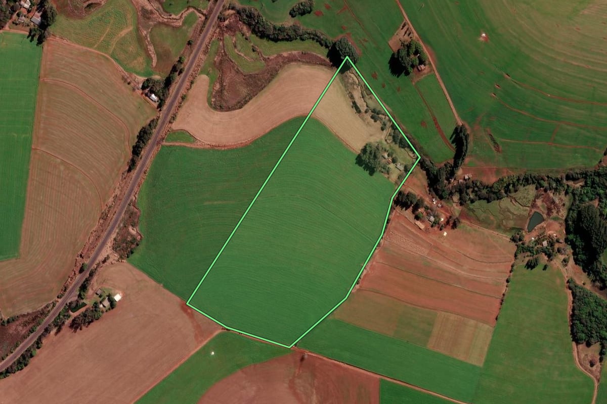 Imagem de satélite do imóvel rural em Palmeira das Missões (RS), com o contorno declarado no CAR desenhado por cima.