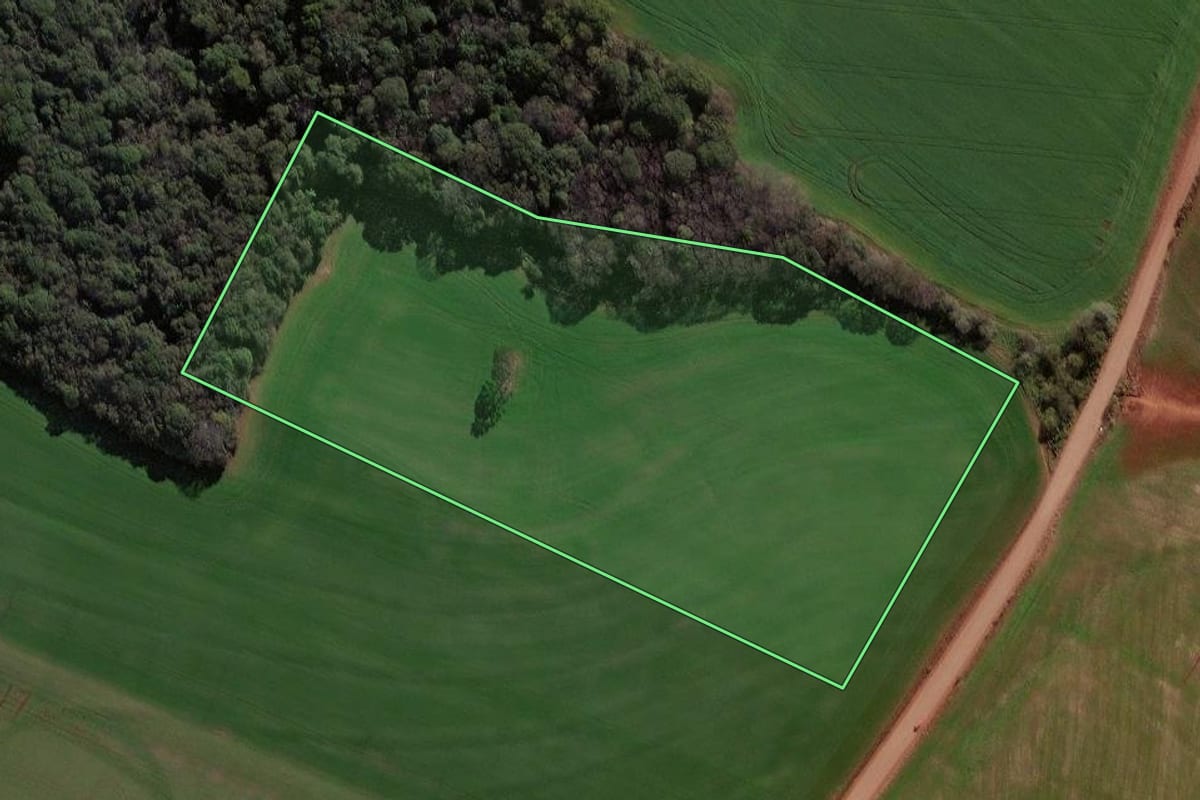 Imagem de satélite do imóvel rural em Palmeira das Missões (RS), com o contorno declarado no CAR desenhado por cima.