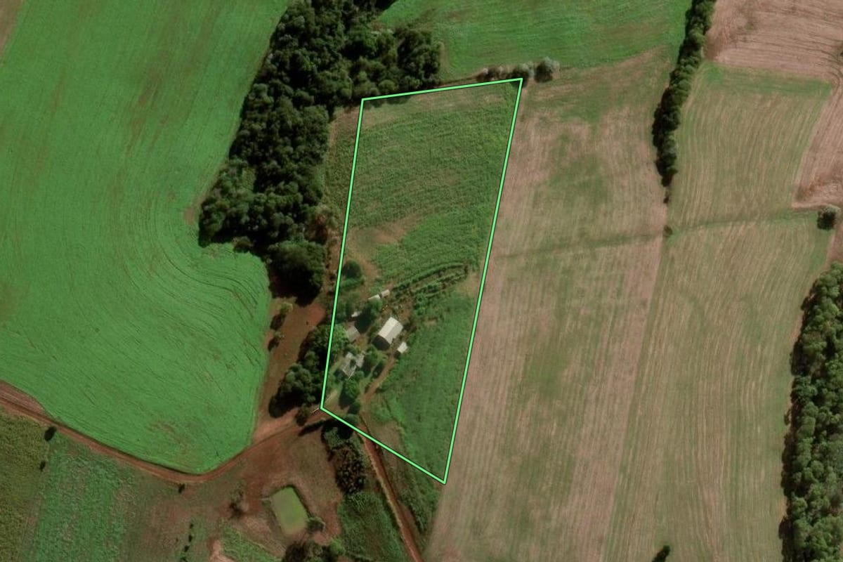Imagem de satélite do imóvel rural em Palmeira das Missões (RS), com o contorno declarado no CAR desenhado por cima.