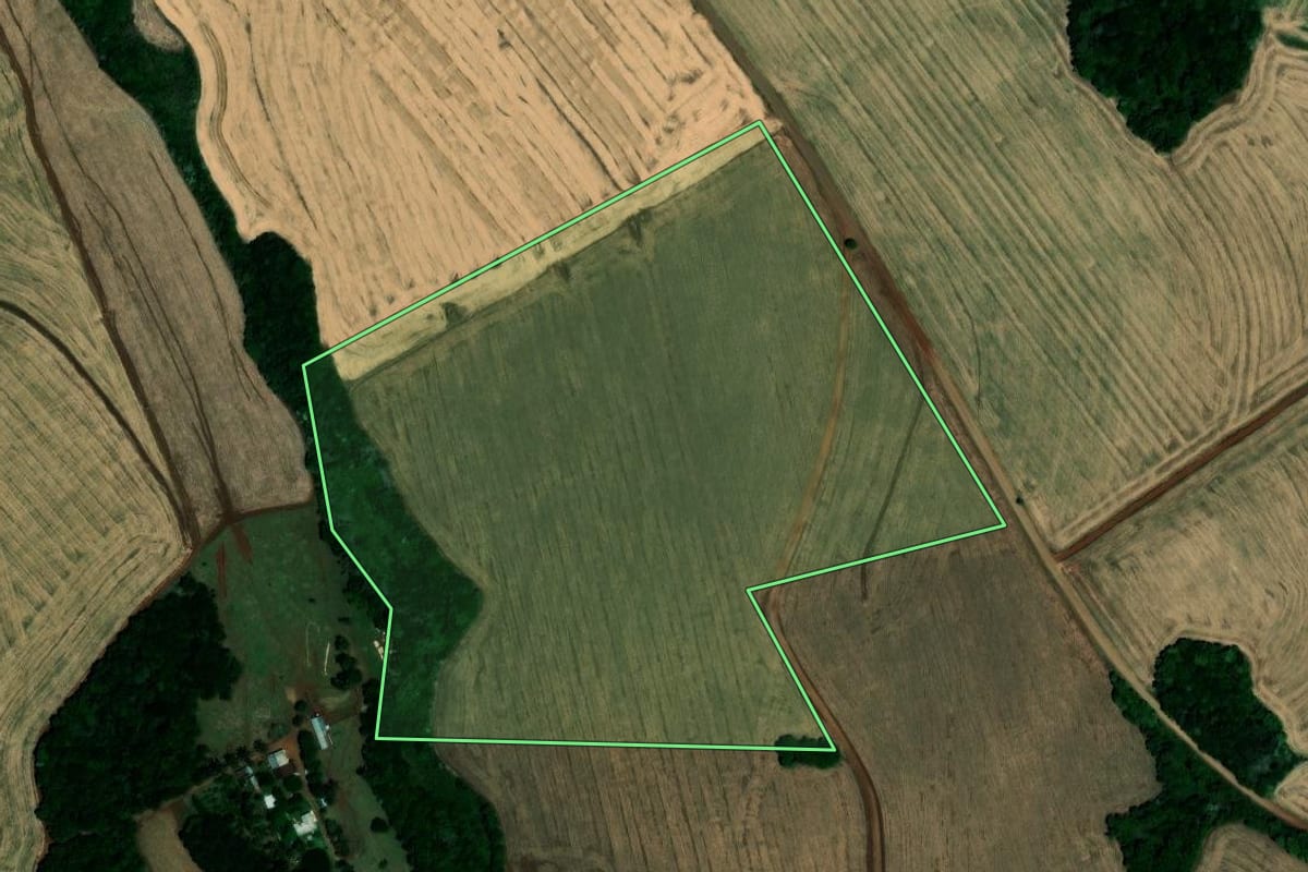 Imagem de satélite do imóvel rural em Palmeira das Missões (RS), com o contorno declarado no CAR desenhado por cima.