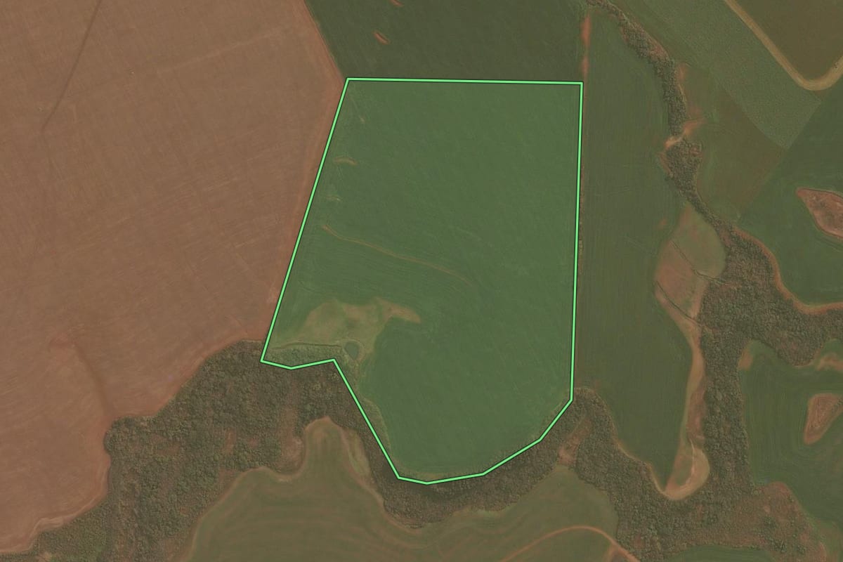Imagem de satélite do imóvel rural em Palmeira das Missões (RS), com o contorno declarado no CAR desenhado por cima.