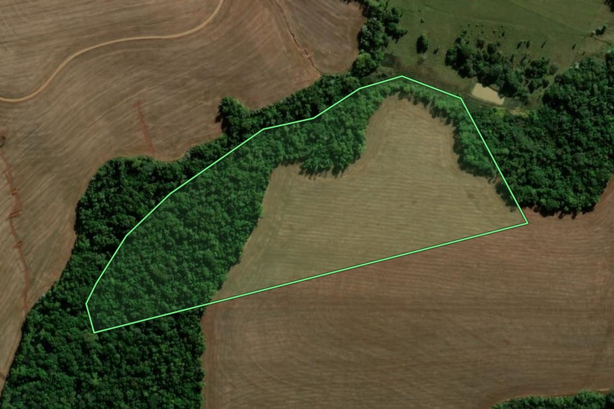 Imagem de satélite do imóvel rural em Palmeira das Missões (RS), com o contorno declarado no CAR desenhado por cima.