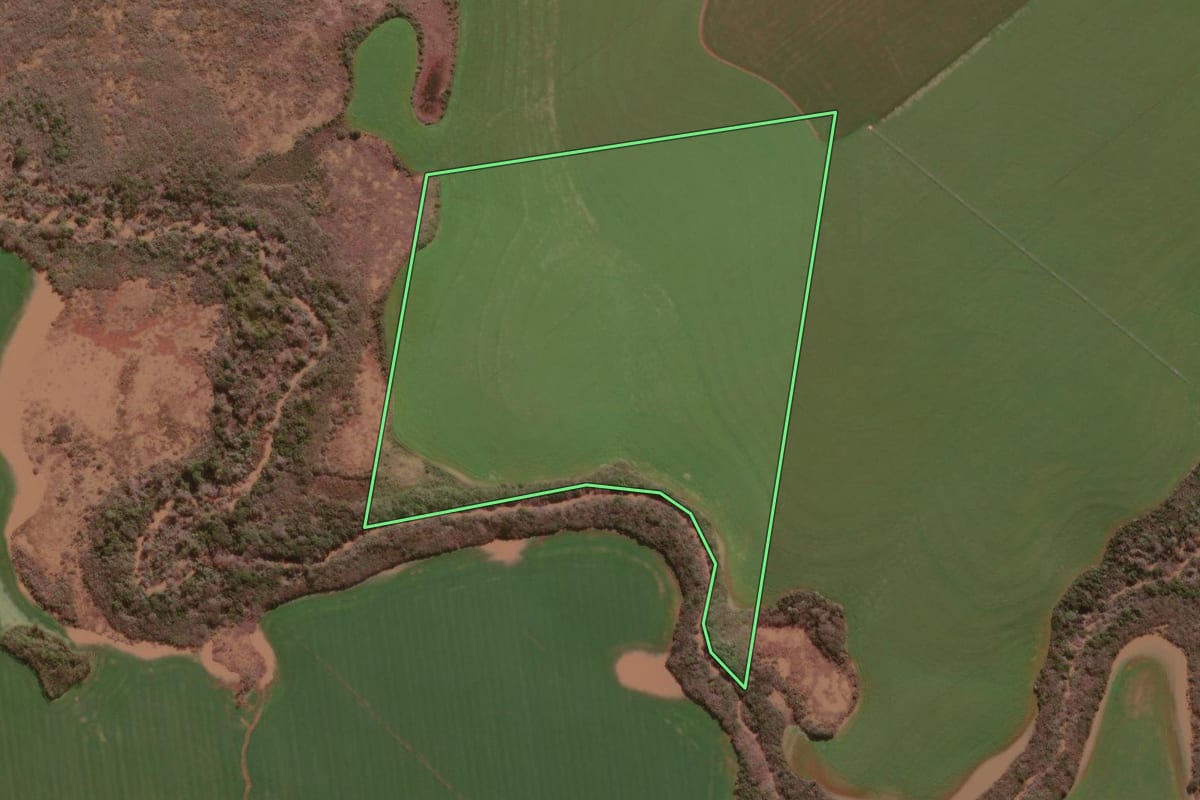 Imagem de satélite do imóvel rural em Palmeira das Missões (RS), com o contorno declarado no CAR desenhado por cima.