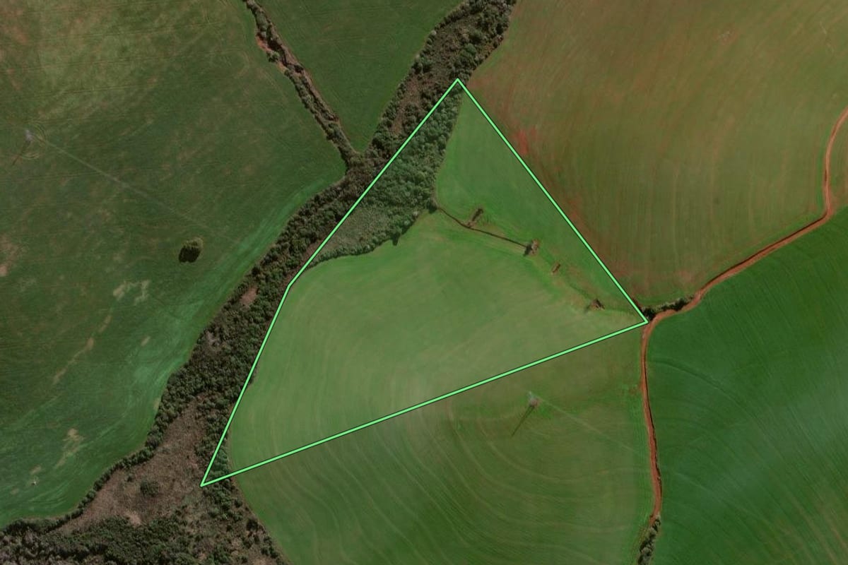 Imagem de satélite do imóvel rural em Palmeira das Missões (RS), com o contorno declarado no CAR desenhado por cima.