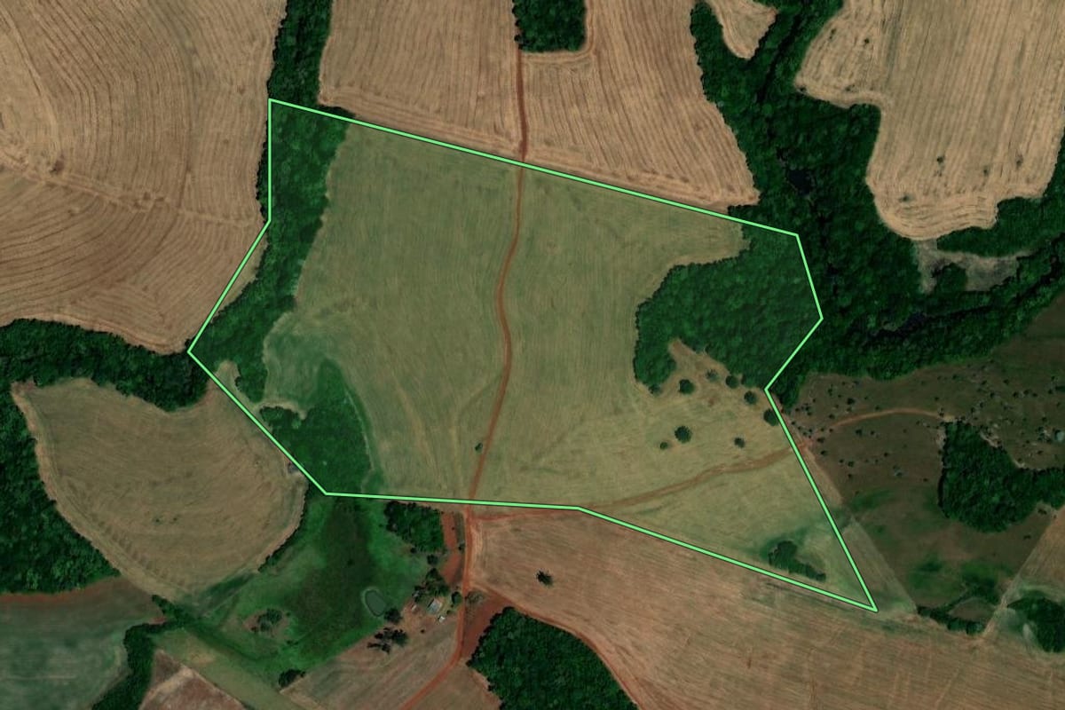 Imagem de satélite do imóvel rural em Palmeira das Missões (RS), com o contorno declarado no CAR desenhado por cima.