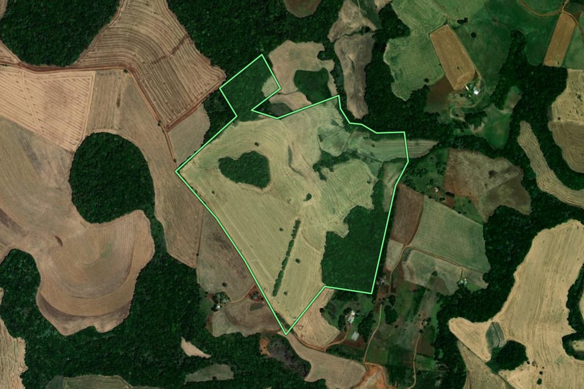 Imagem de satélite do imóvel rural em Palmeira das Missões (RS), com o contorno declarado no CAR desenhado por cima.
