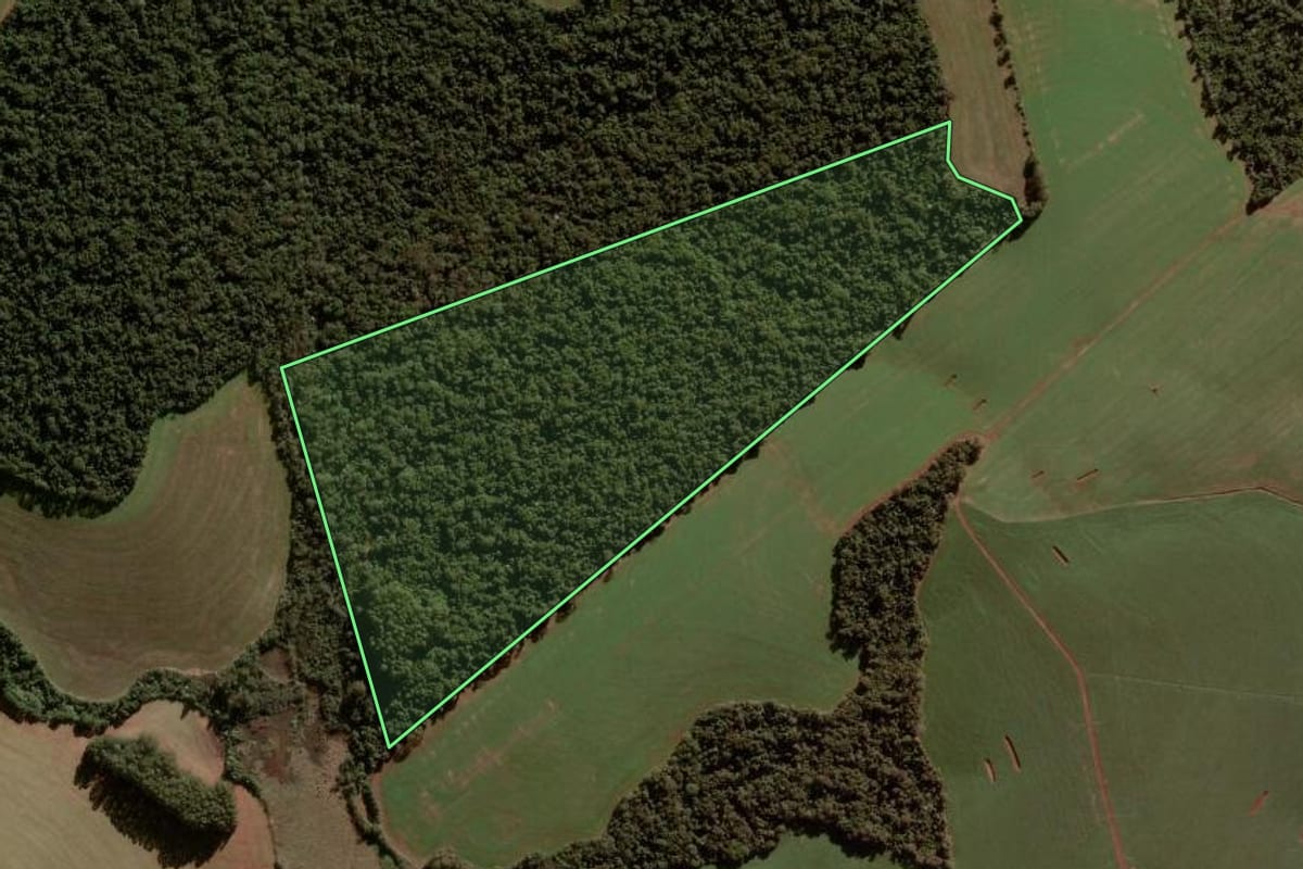 Imagem de satélite do imóvel rural em Palmeira das Missões (RS), com o contorno declarado no CAR desenhado por cima.