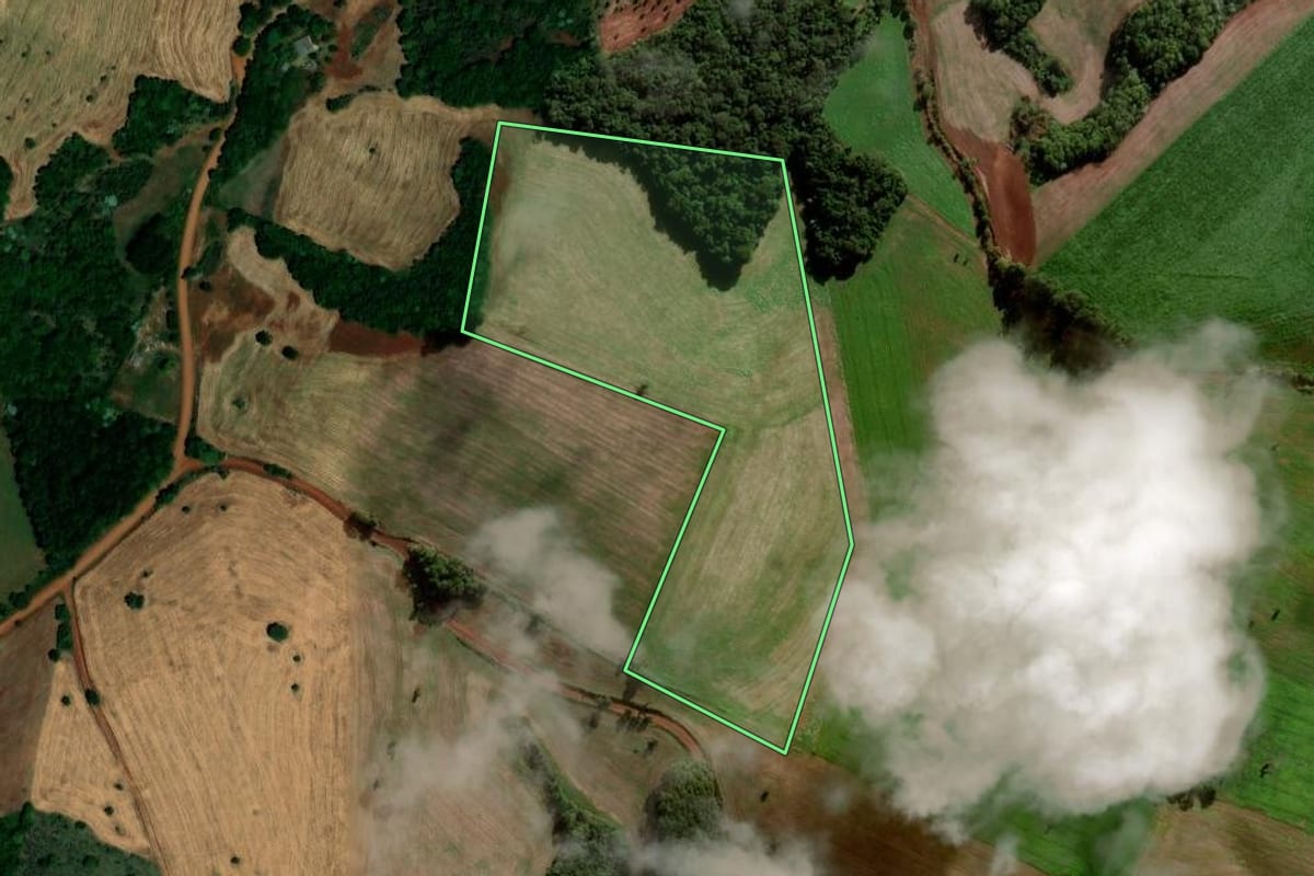 Imagem de satélite do imóvel rural em Palmeira das Missões (RS), com o contorno declarado no CAR desenhado por cima.