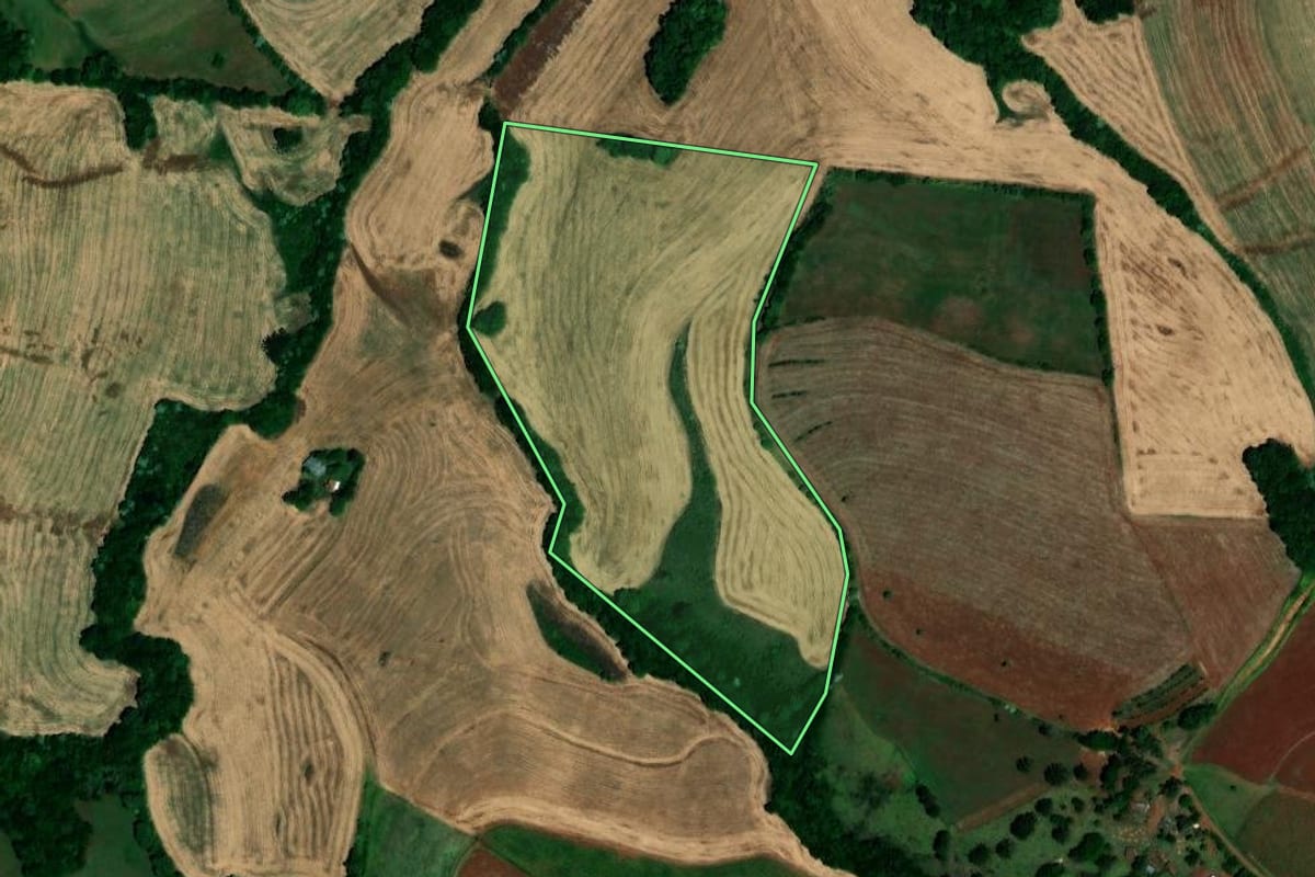 Imagem de satélite do imóvel rural em Palmeira das Missões (RS), com o contorno declarado no CAR desenhado por cima.