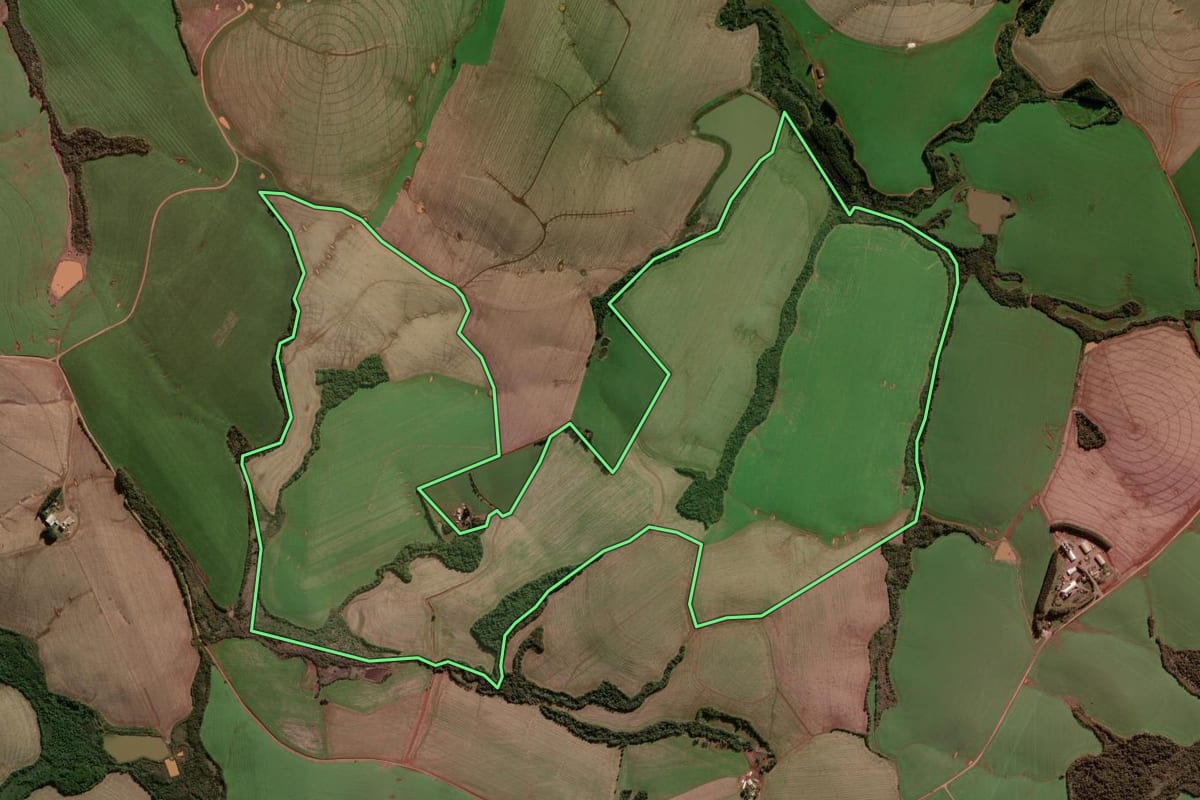 Imagem de satélite do imóvel rural em Palmeira das Missões (RS), com o contorno declarado no CAR desenhado por cima.