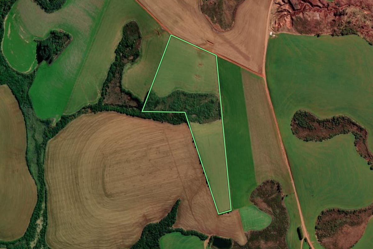 Imagem de satélite do imóvel rural em Palmeira das Missões (RS), com o contorno declarado no CAR desenhado por cima.