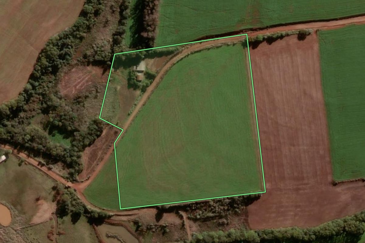 Imagem de satélite do imóvel rural em Palmeira das Missões (RS), com o contorno declarado no CAR desenhado por cima.