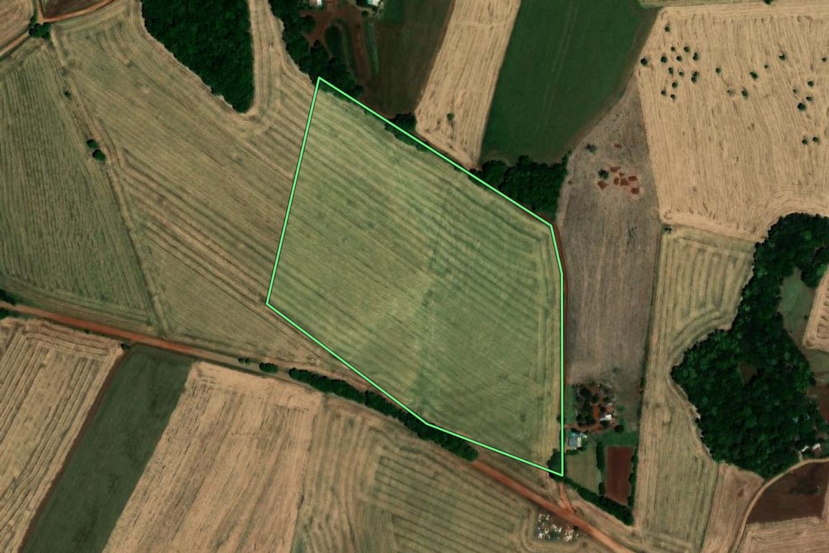 Imagem de satélite do imóvel rural em Palmeira das Missões (RS), com o contorno declarado no CAR desenhado por cima.