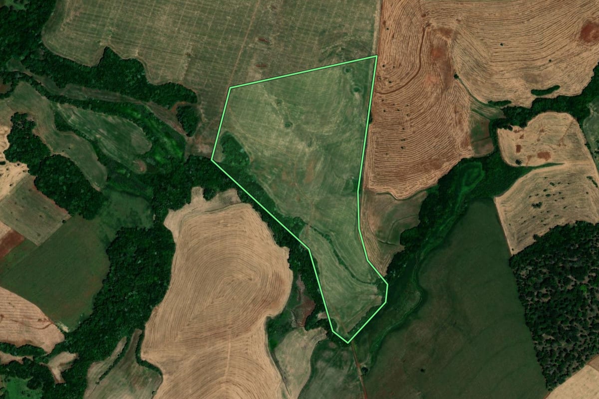 Imagem de satélite do imóvel rural em Palmeira das Missões (RS), com o contorno declarado no CAR desenhado por cima.