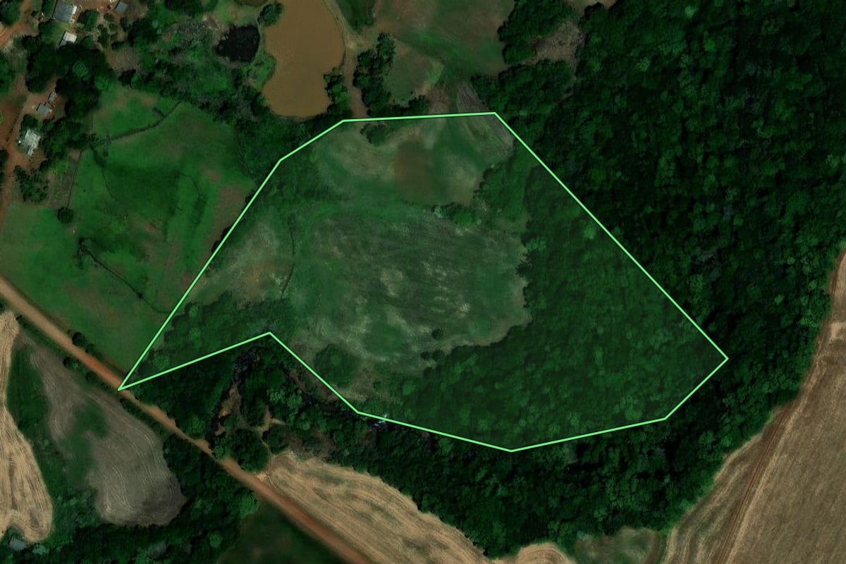 Imagem de satélite do imóvel rural em Palmeira das Missões (RS), com o contorno declarado no CAR desenhado por cima.