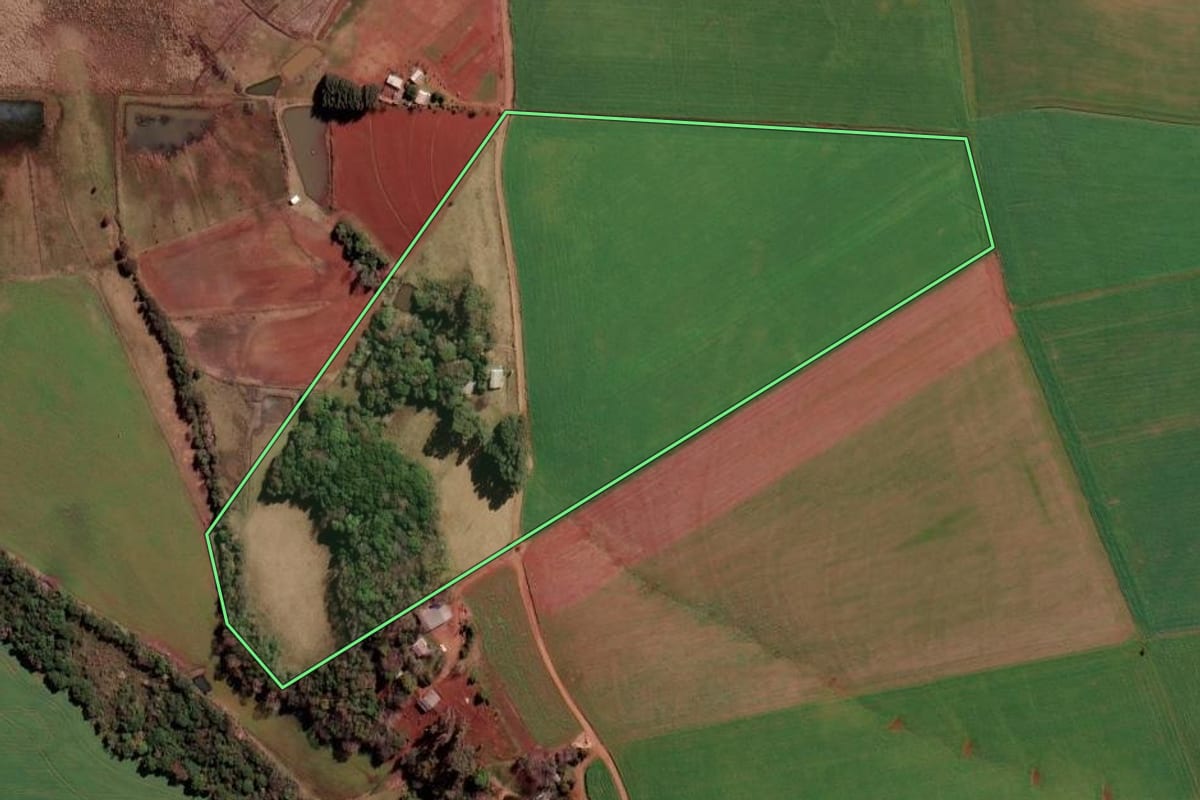 Imagem de satélite do imóvel rural em Palmeira das Missões (RS), com o contorno declarado no CAR desenhado por cima.